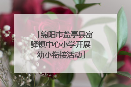 绵阳市盐亭县富驿镇中心小学开展幼小衔接活动