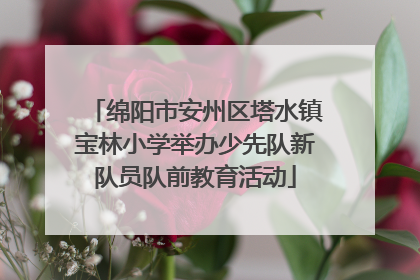 绵阳市安州区塔水镇宝林小学举办少先队新队员队前教育活动