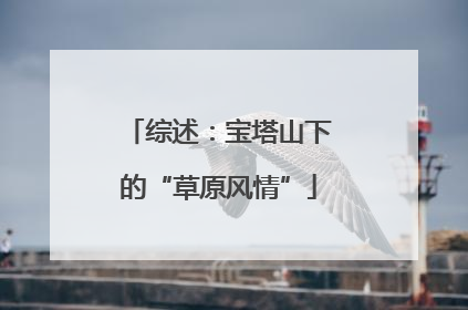 综述：宝塔山下的“草原风情”
