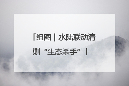 组图｜水陆联动清剿“生态杀手”