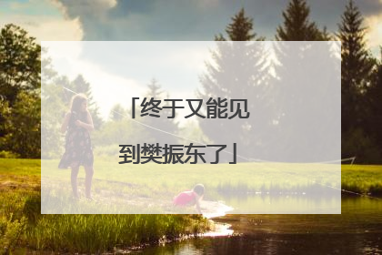 终于又能见到樊振东了