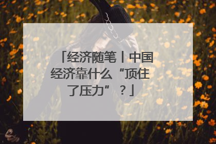 经济随笔丨中国经济靠什么“顶住了压力”？