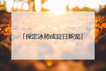 保定冰柿成夏日新宠
