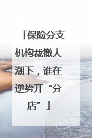 保险分支机构裁撤大潮下，谁在逆势开“分店”