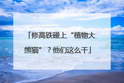 修高铁碰上“植物大熊猫”？他们这么干
