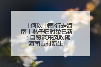 何以中国·行走海南丨燕子归时巢已新：自贸港东风吹拂 海南古村新生