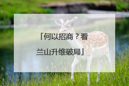 何以招商？看兰山升维破局