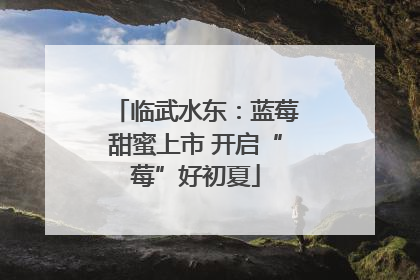临武水东：蓝莓甜蜜上市 开启“莓”好初夏