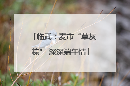 临武：麦市“草灰粽” 深深端午情