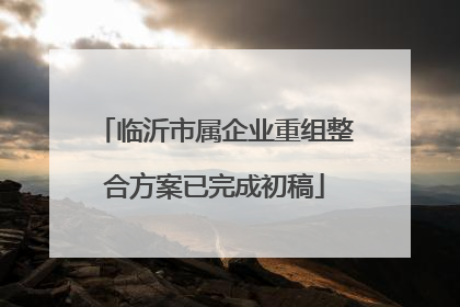 临沂市属企业重组整合方案已完成初稿