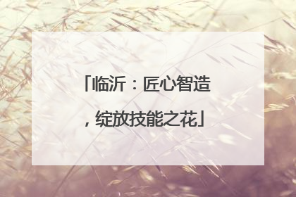 临沂：匠心智造，绽放技能之花