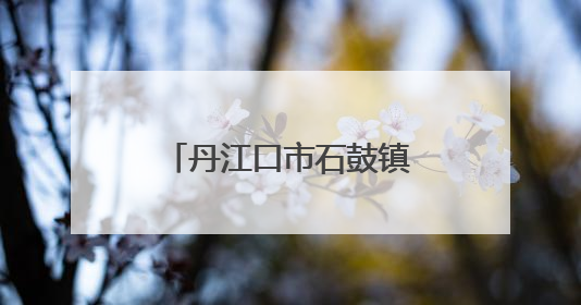 丹江口市石鼓镇中心幼儿园举行庆六一展演活动