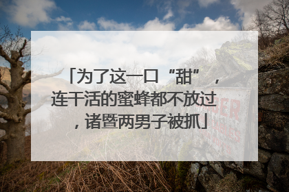 为了这一口“甜”，连干活的蜜蜂都不放过，诸暨两男子被抓