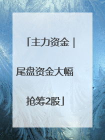 主力资金｜尾盘资金大幅抢筹2股