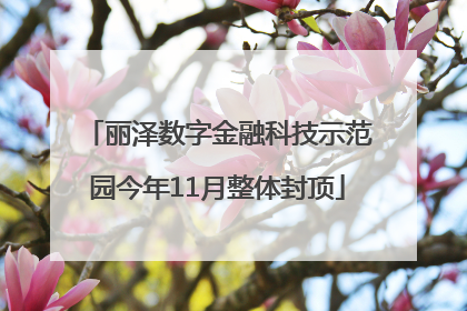 丽泽数字金融科技示范园今年11月整体封顶
