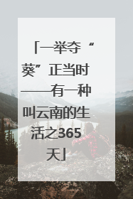 一举夺“葵”正当时——有一种叫云南的生活之365天