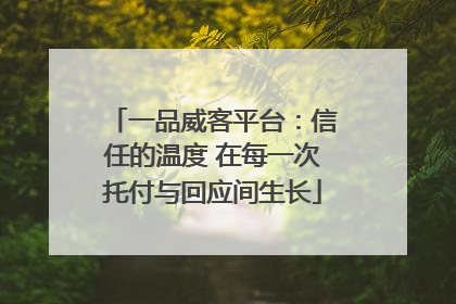 一品威客平台：信任的温度 在每一次托付与回应间生长