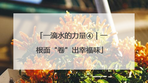 一滴水的力量④｜一根面“卷”出幸福味