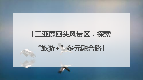 三亚鹿回头风景区：探索“旅游+”多元融合路