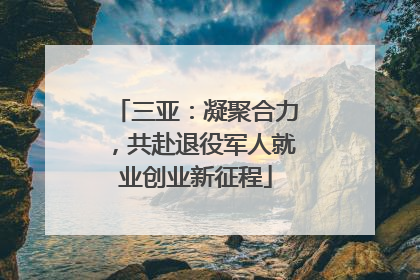 三亚：凝聚合力，共赴退役军人就业创业新征程