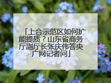 上合示范区如何扩能提质？山东省商务厅副厅长张庆伟答央广网记者问
