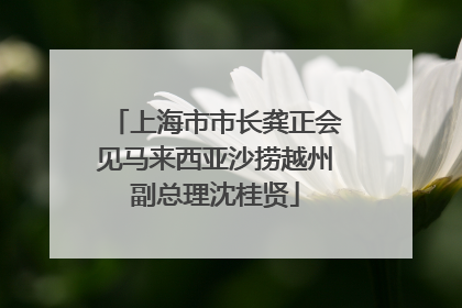 上海市市长龚正会见马来西亚沙捞越州副总理沈桂贤