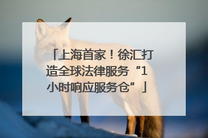 上海首家！徐汇打造全球法律服务“1小时响应服务仓”