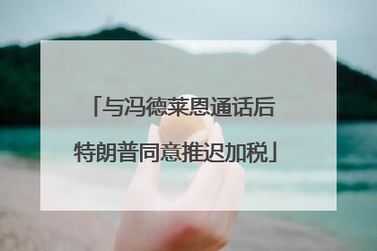 与冯德莱恩通话后 特朗普同意推迟加税