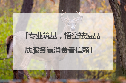 专业筑基，悟空祛痘品质服务赢消费者信赖