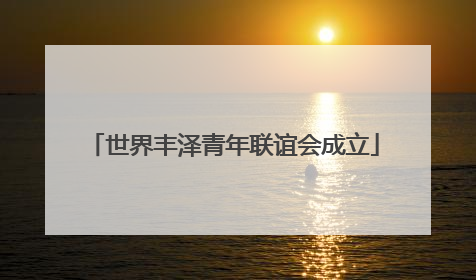 世界丰泽青年联谊会成立