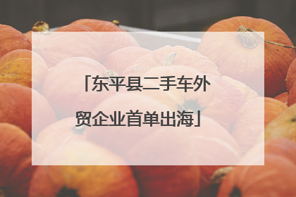 东平县二手车外贸企业首单出海