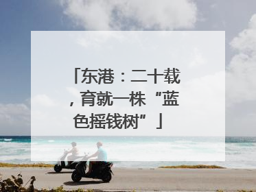 东港：二十载，育就一株“蓝色摇钱树”