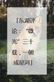 东湖评论：“微光”三十载，一朝成星河