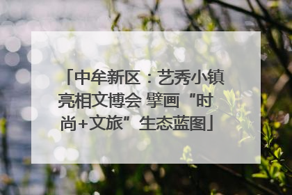 中牟新区：艺秀小镇亮相文博会 擘画“时尚+文旅”生态蓝图