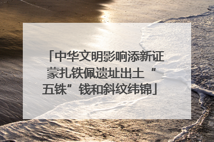 中华文明影响添新证 蒙扎铁佩遗址出土“五铢”钱和斜纹纬锦