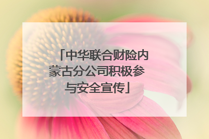 中华联合财险内蒙古分公司积极参与安全宣传