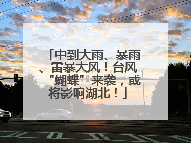 中到大雨、暴雨、雷暴大风！台风“蝴蝶”来袭，或将影响湖北！