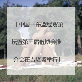 中国—东盟经贸论坛暨第三届链博会推介会在吉隆坡举行