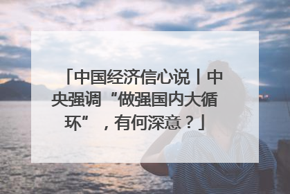 中国经济信心说丨中央强调“做强国内大循环”，有何深意？