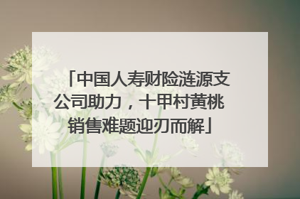中国人寿财险涟源支公司助力，十甲村黄桃销售难题迎刃而解