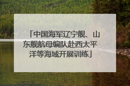 中国海军辽宁舰、山东舰航母编队赴西太平洋等海域开展训练