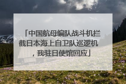 中国航母编队战斗机拦截日本海上自卫队巡逻机，我驻日使馆回应