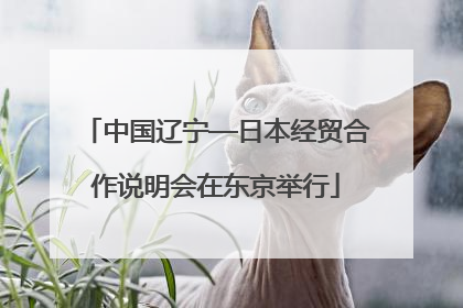 中国辽宁—日本经贸合作说明会在东京举行