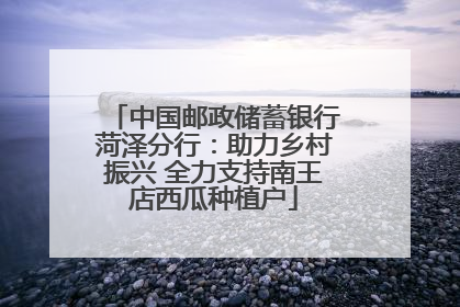 中国邮政储蓄银行菏泽分行：助力乡村振兴 全力支持南王店西瓜种植户