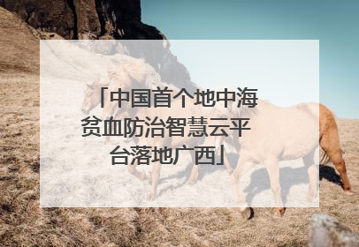 中国首个地中海贫血防治智慧云平台落地广西