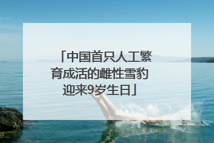 中国首只人工繁育成活的雌性雪豹迎来9岁生日