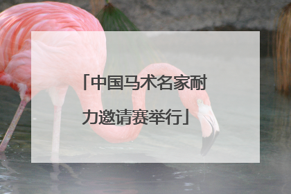 中国马术名家耐力邀请赛举行