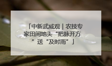中新武威观｜农技专家田间地头“把脉开方”送“及时雨”