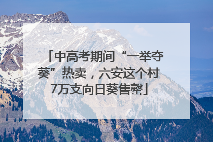 中高考期间“一举夺葵”热卖，六安这个村7万支向日葵售罄