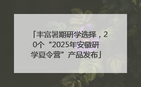 丰富暑期研学选择，20个“2025年安徽研学夏令营”产品发布
